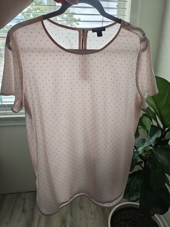 Ann Taylor Tops - Ann Taylor Blush Pink Sheer Dot Short Sleeve Blouse